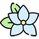 Flores Frescas